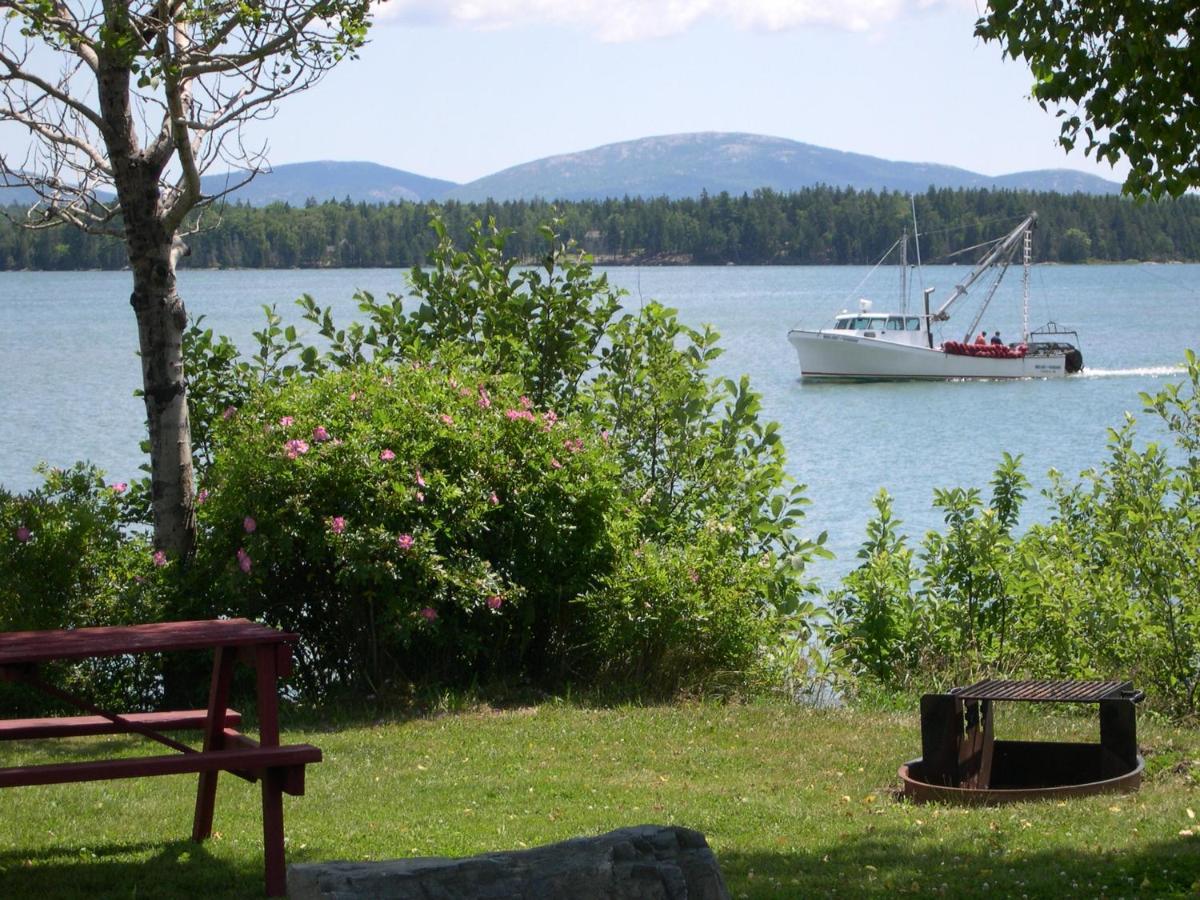 Narrows Too Camping Resort Cottage 11 特伦顿 外观 照片